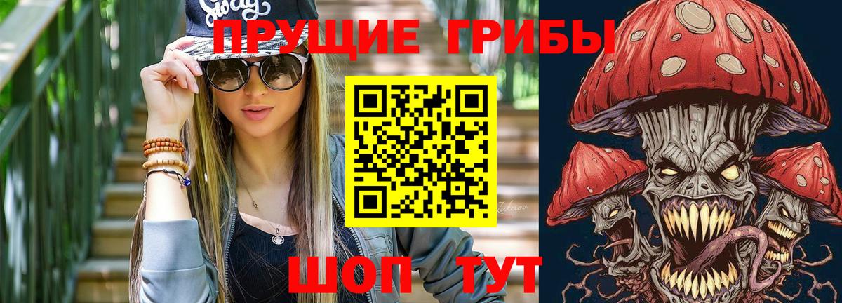 Псилоцибиновые грибы мицелий Гусь-Хрустальный